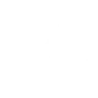 Netzwerk